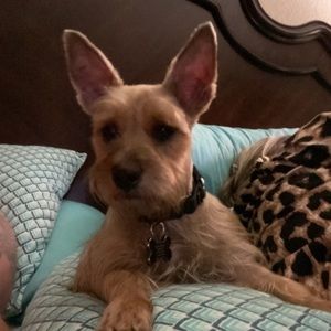 Meet your Posher, Gregory  a